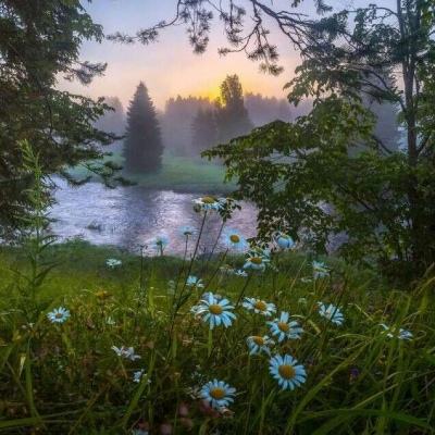 分分28下载截图